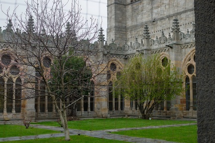 1158 IMGP3931