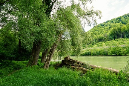 0404 DSC07156
