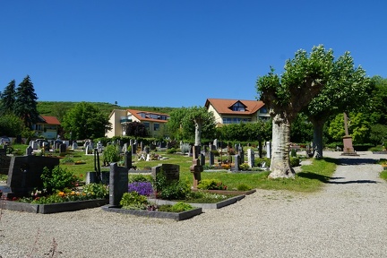 0993 DSC07468