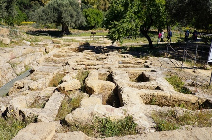 1635 DSC00337
