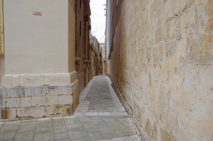3954 IMGP3908