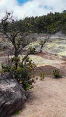 0468 DSC02463