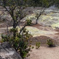 0468 DSC02463