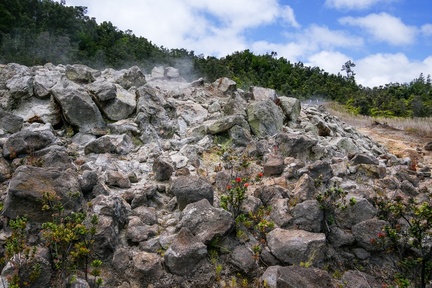 0469 IMGP0250