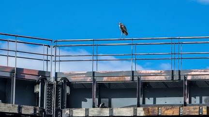 1556 20220504 171438