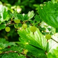 0468 DSC06047